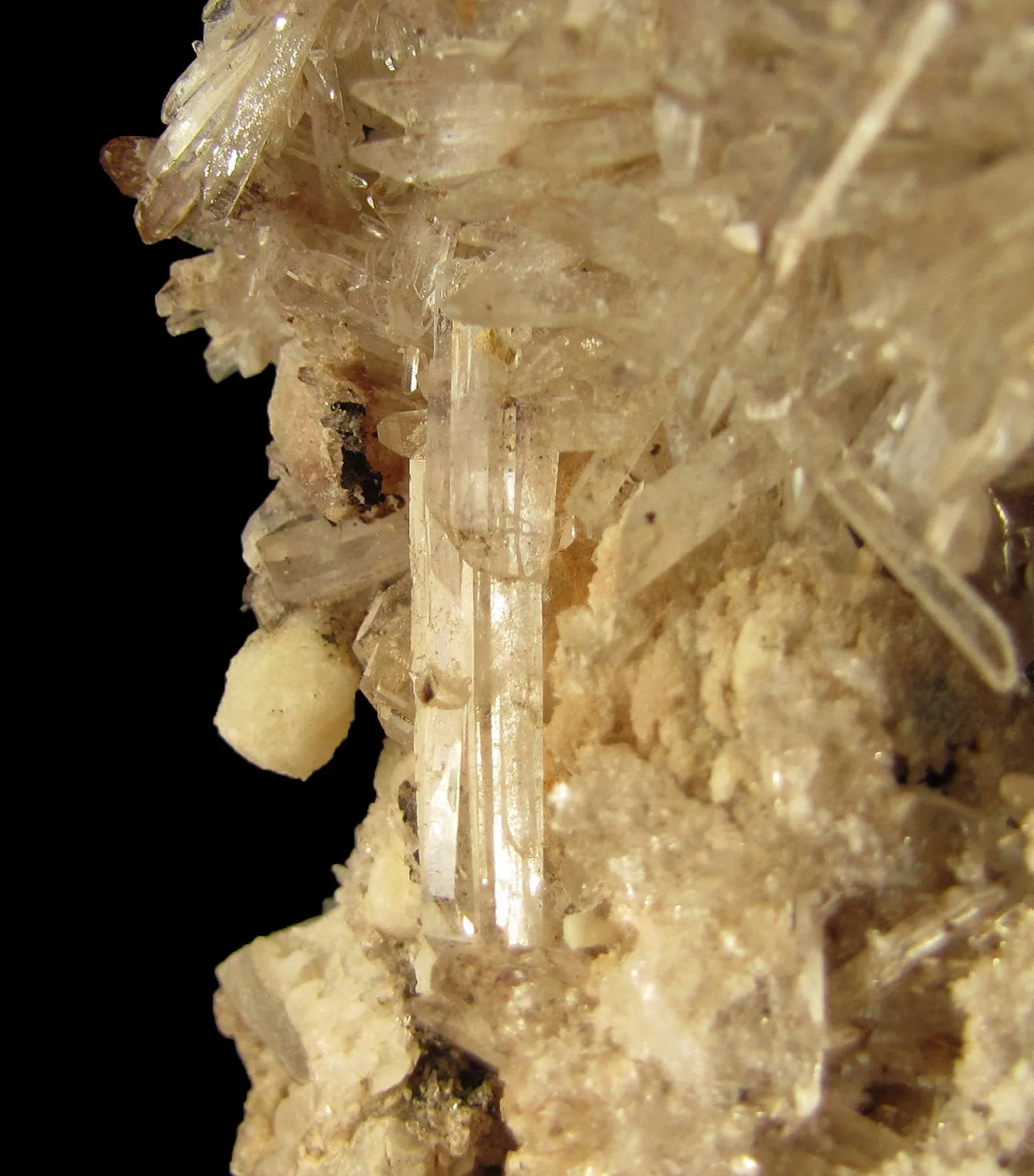 Creedite - image 3