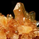 Creedite - image 3