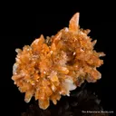 Creedite - image 3