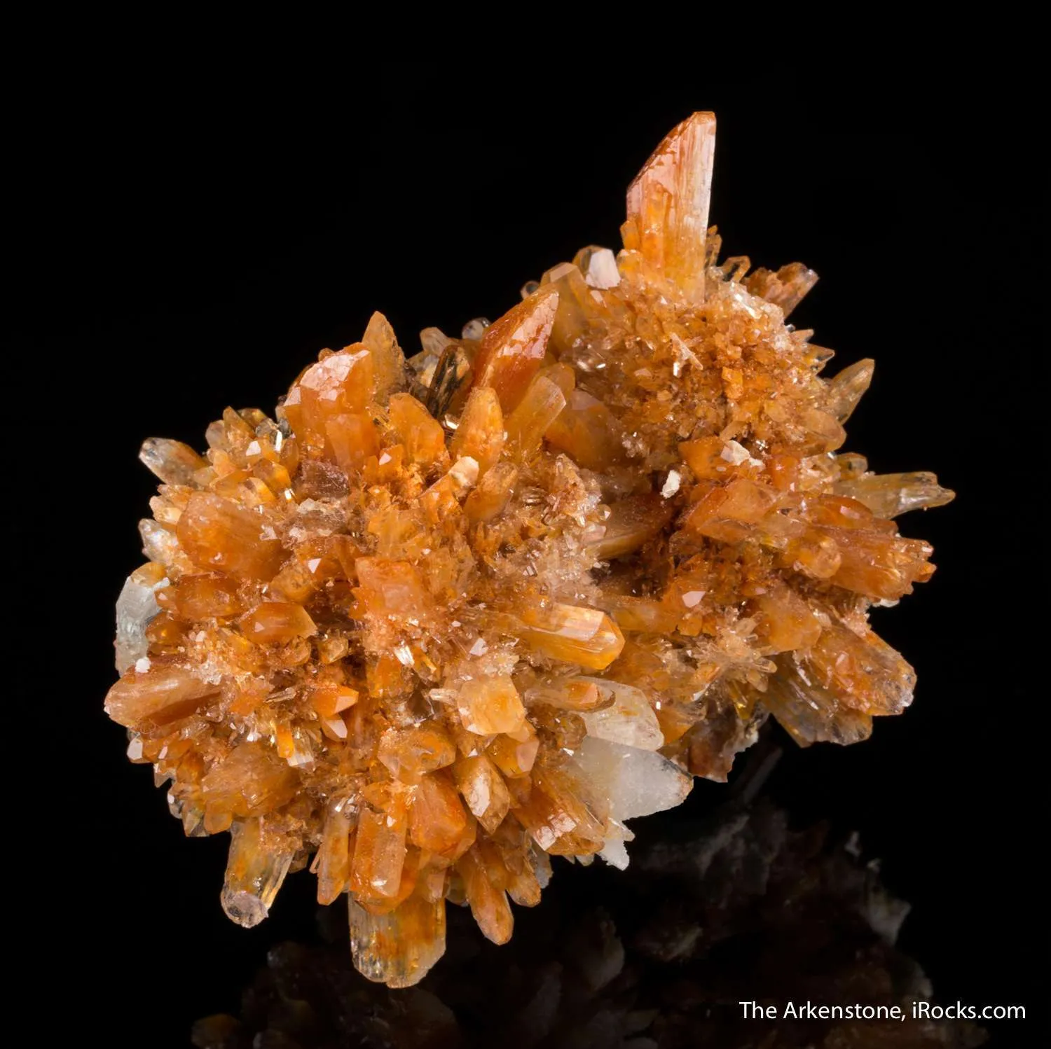 Creedite - image 3