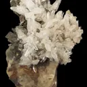 Creedite - image 2