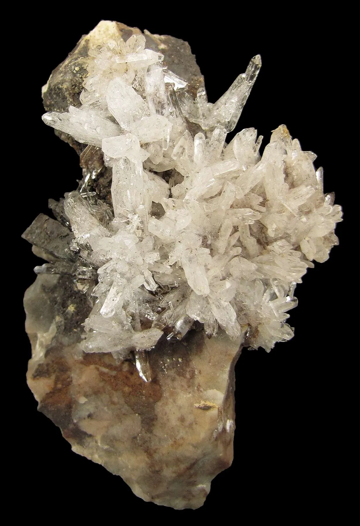 Creedite - image 2