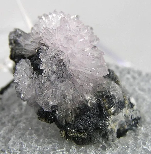 Creedite image