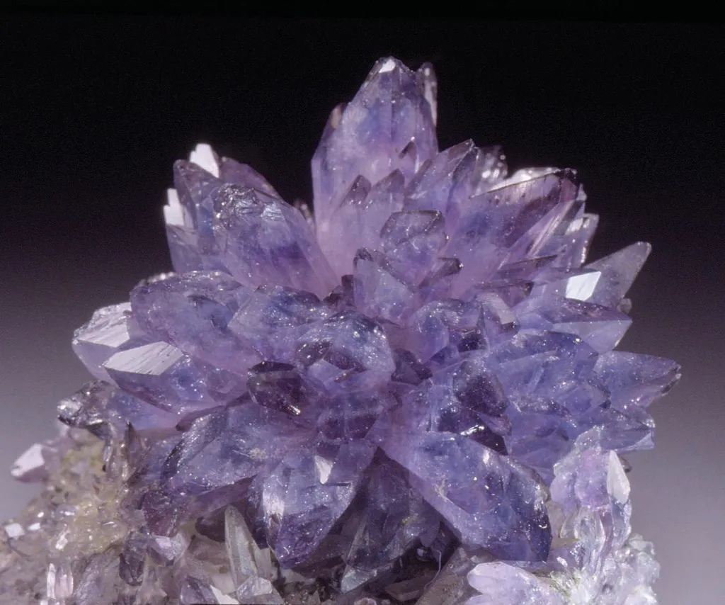 Creedite - image 1