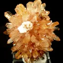 Creedite - image 1
