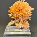 Creedite - image 2