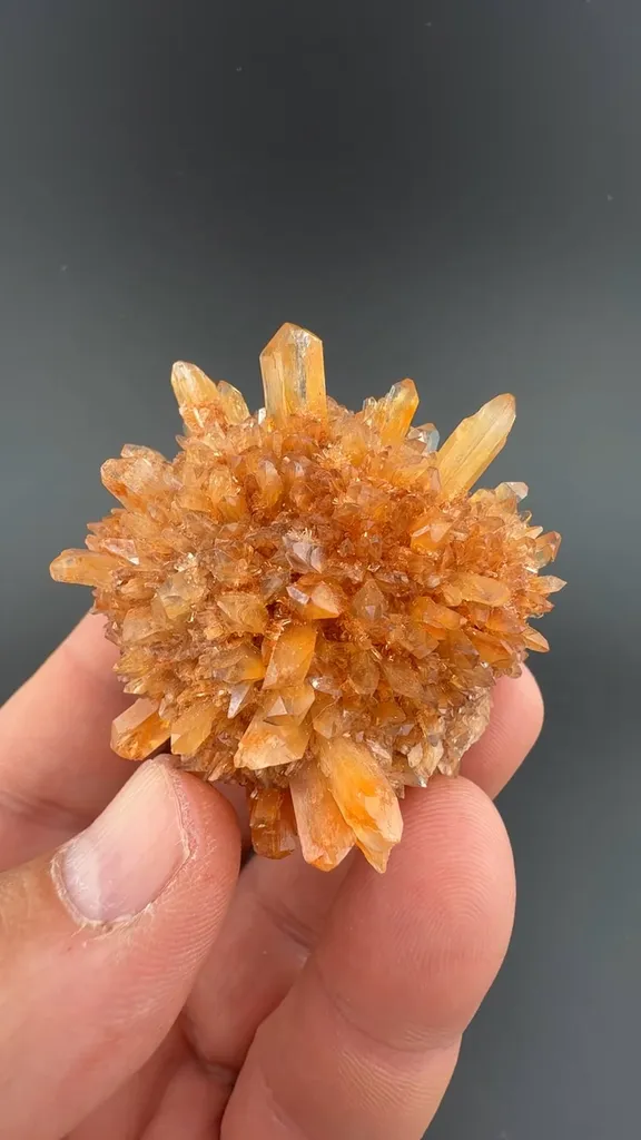 Creedite - image 1