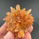 Creedite - image 1
