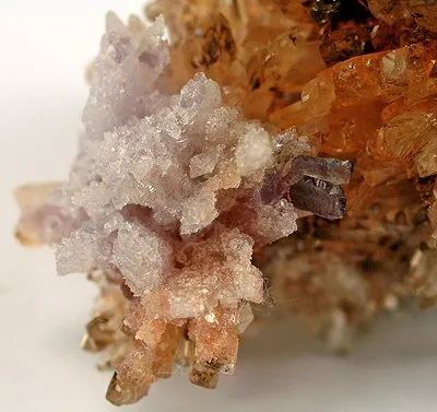 Creedite - image 2