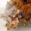 Creedite - image 2