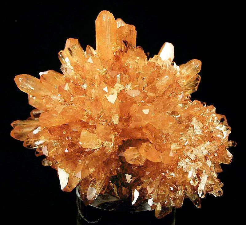 Creedite - image 3