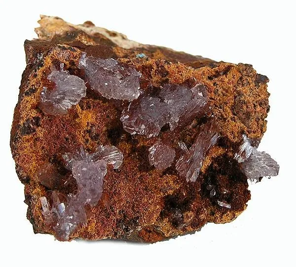 Creedite image