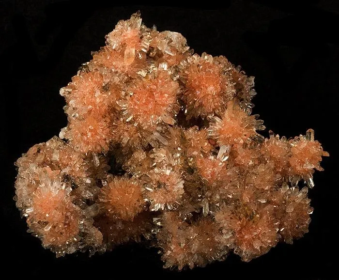Creedite image