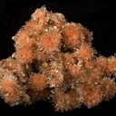 Creedite - image 1