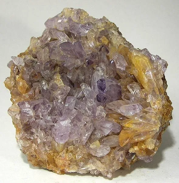 Creedite image