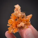 Creedite - image 2