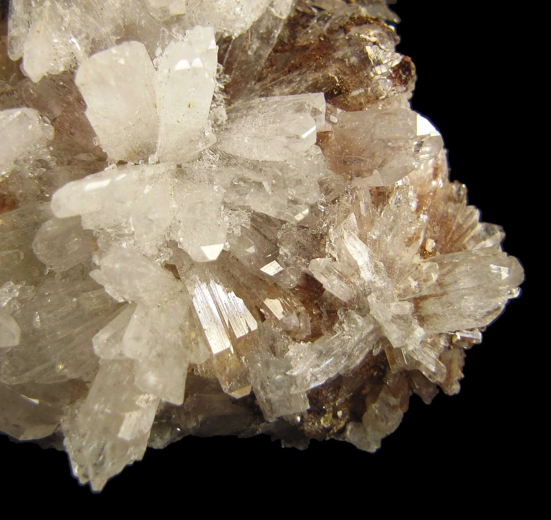 Creedite - image 3