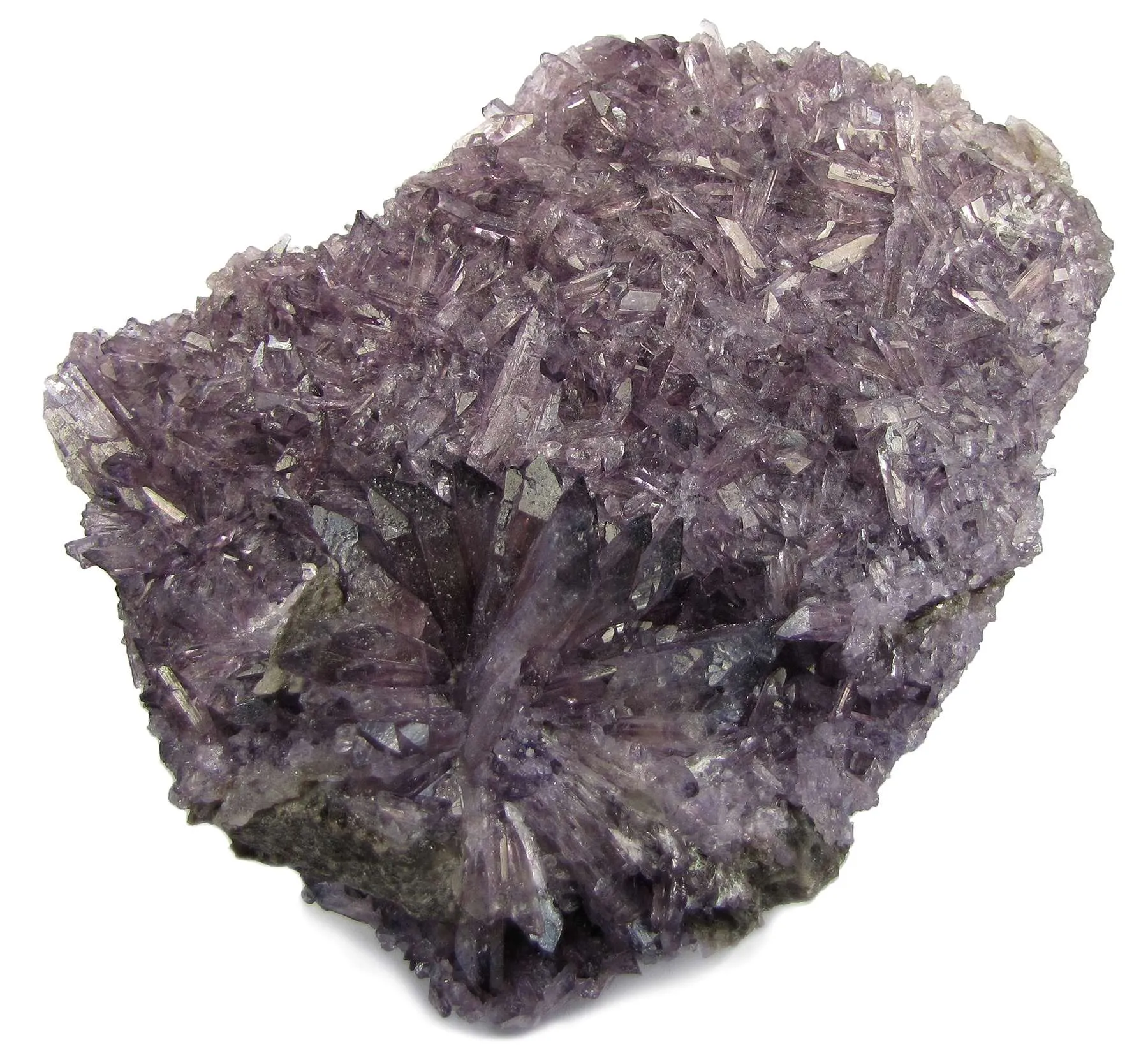 Creedite - image 1