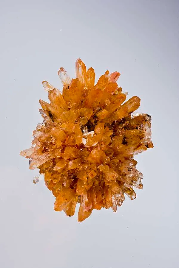 Creedite image