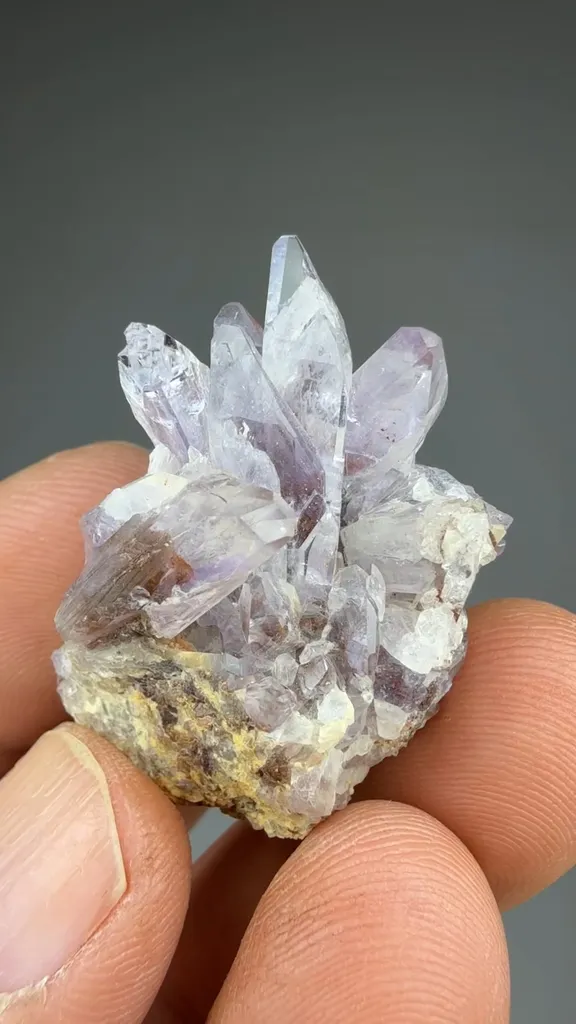Creedite - image 2