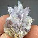 Creedite - image 2