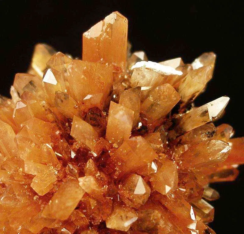 Creedite - image 2