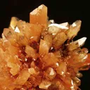 Creedite - image 2