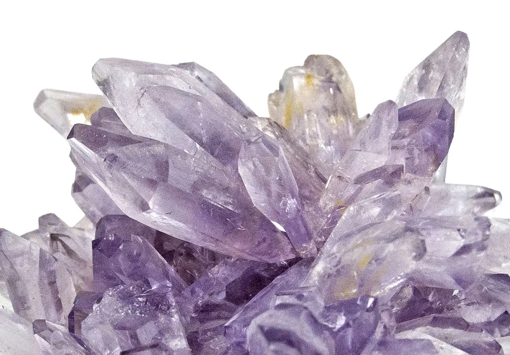 Creedite - image 2