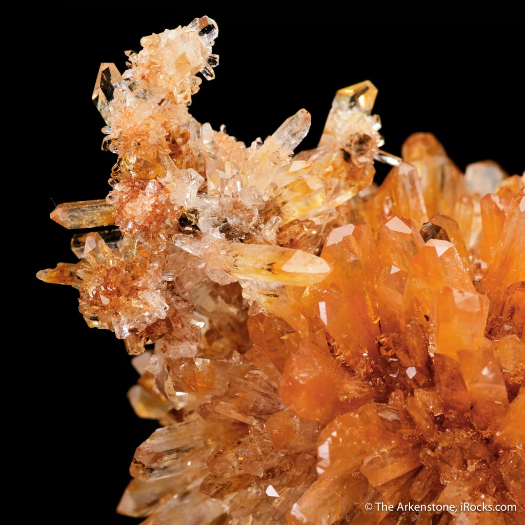 Creedite - image 5