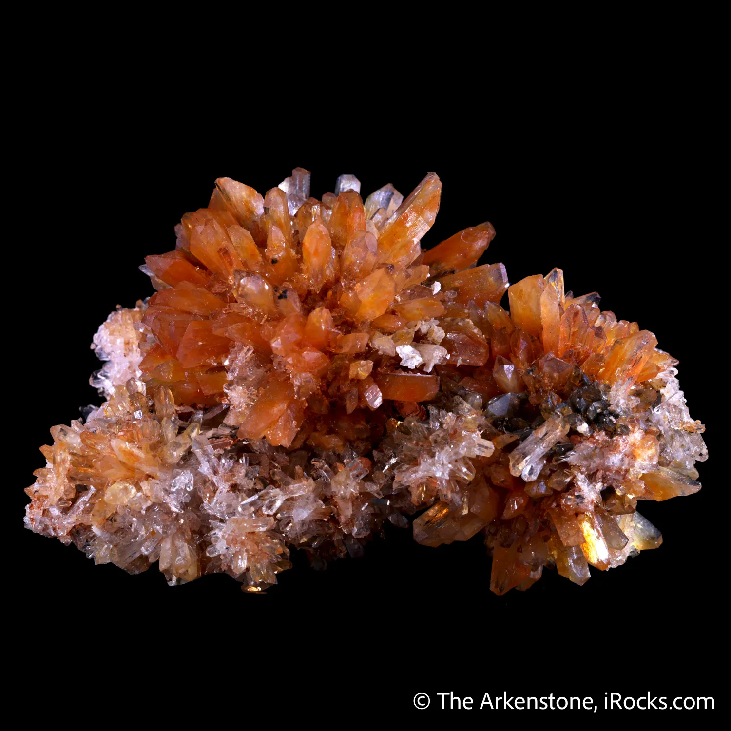 Creedite - image 3