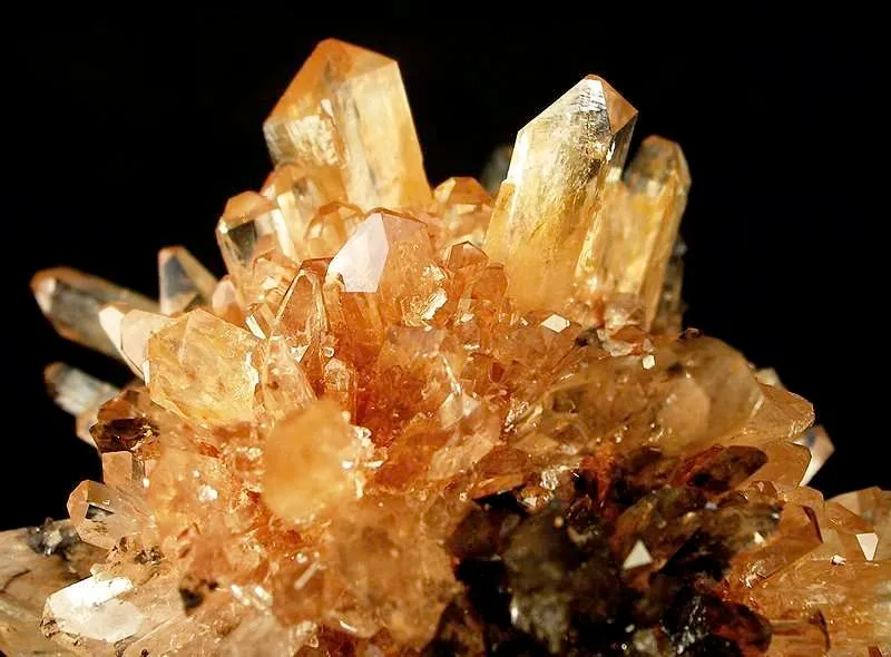 Creedite - image 2