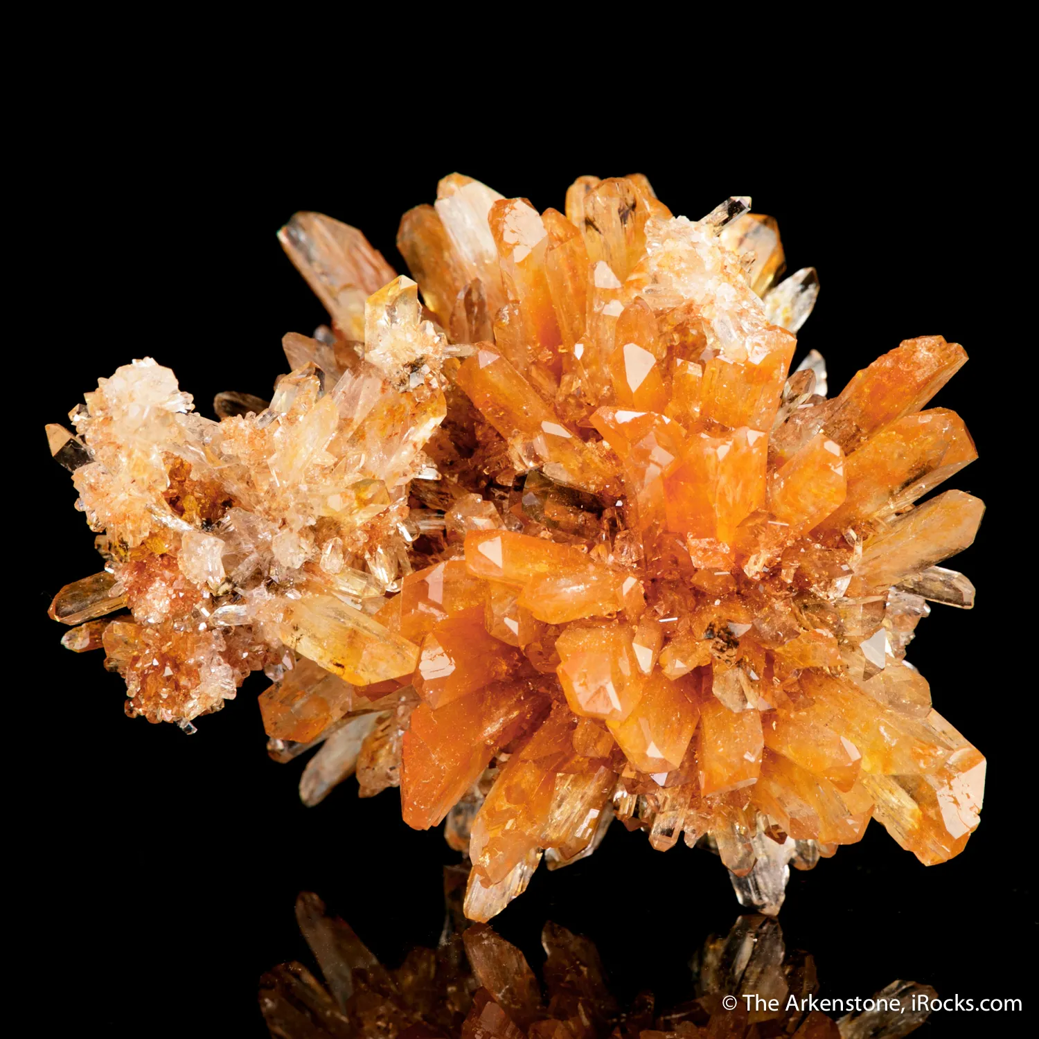 Creedite - image 4