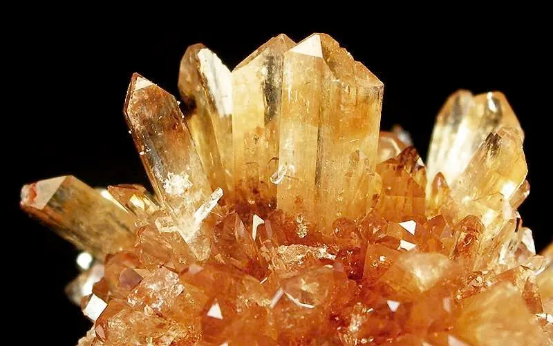 Creedite - image 2