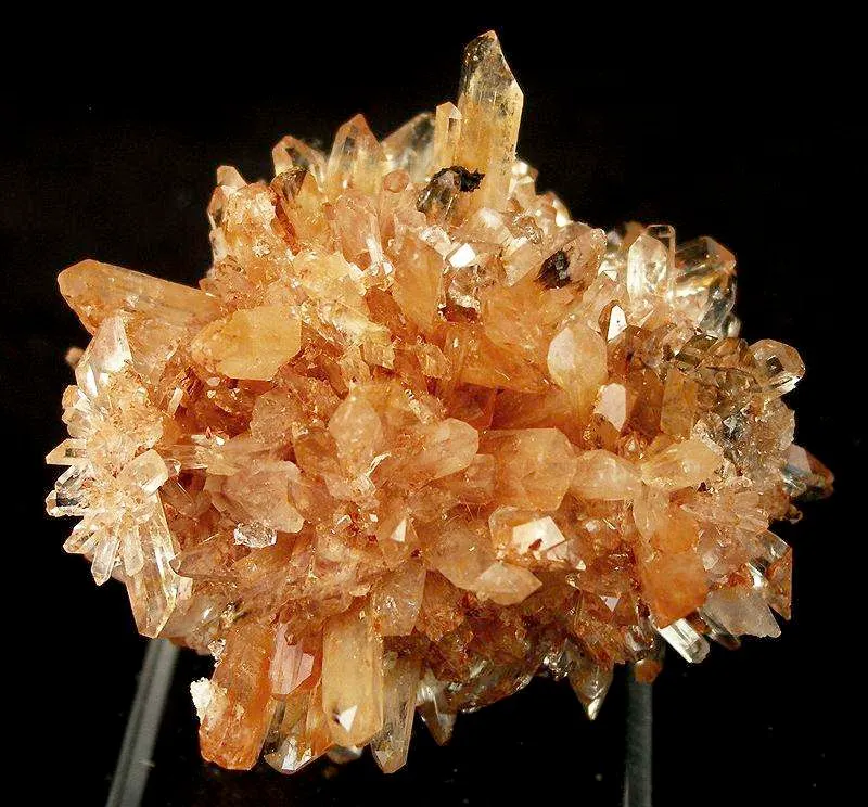 Creedite image