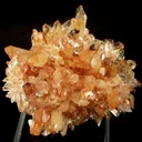 Creedite - image 1