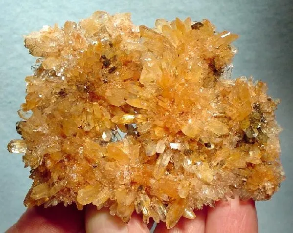 Creedite - image 2