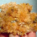 Creedite - image 2