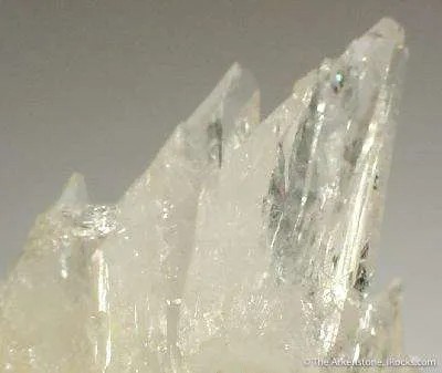 Creedite - image 2