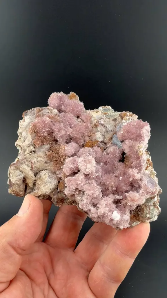 Creedite - image 2