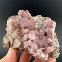 Creedite - image 2