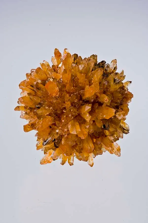 Creedite image