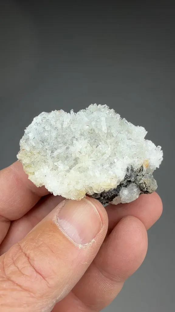 Creedite - image 2