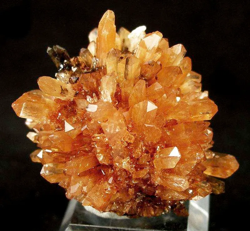 Creedite image