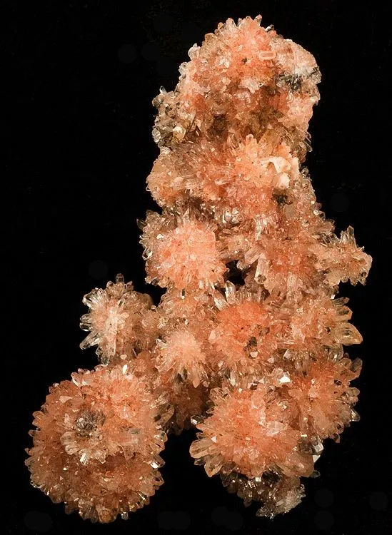 Creedite image