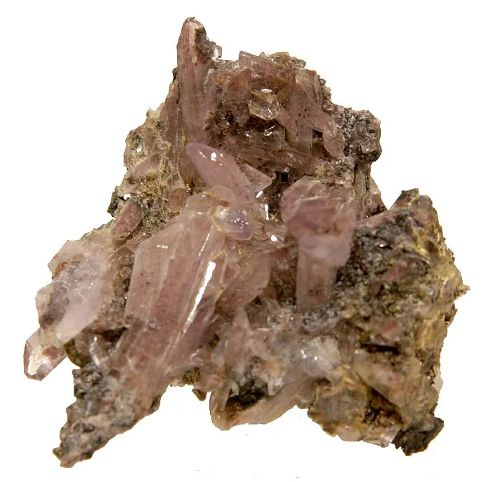 Creedite image