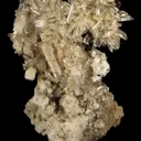 Creedite - image 1