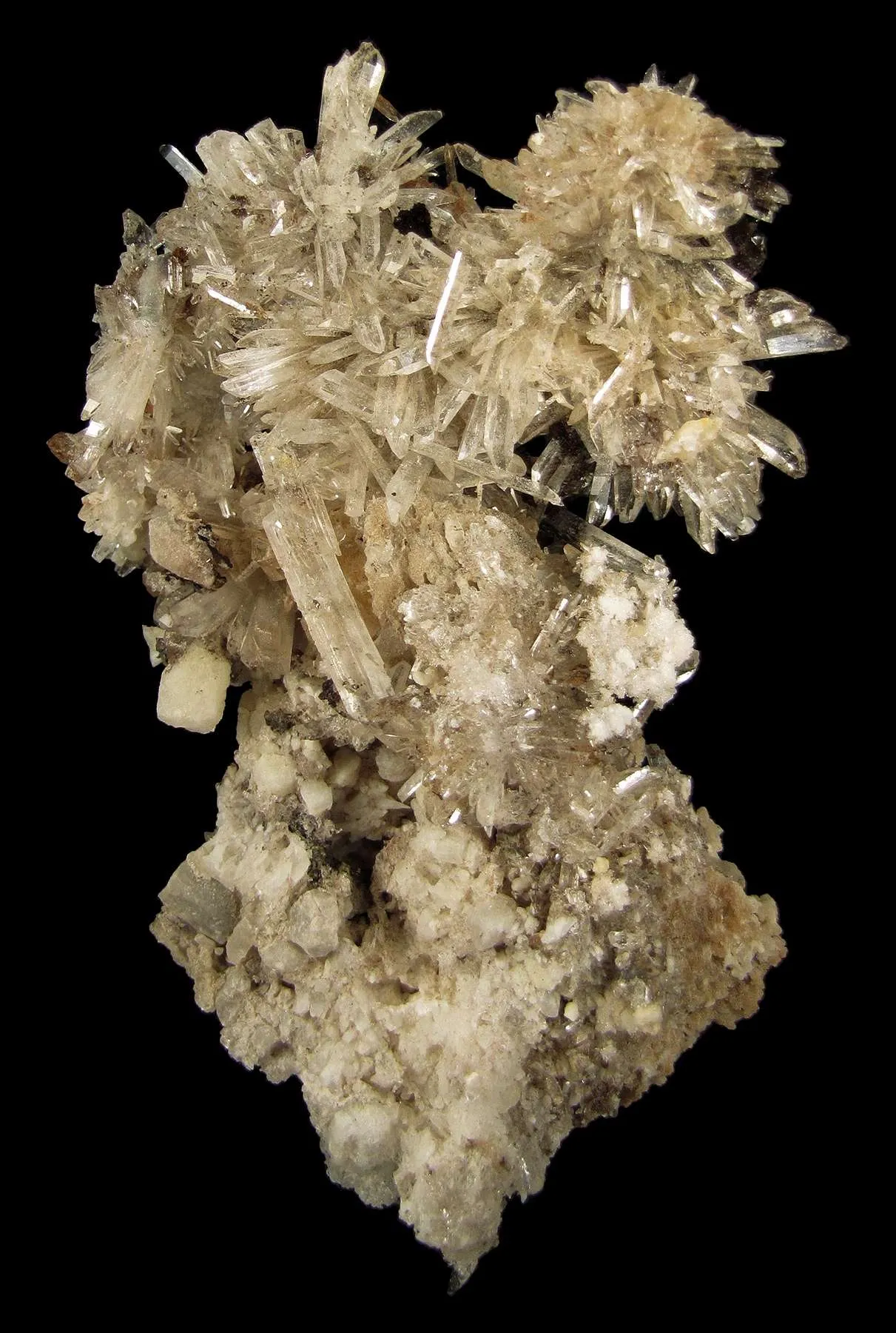 Creedite - image 1