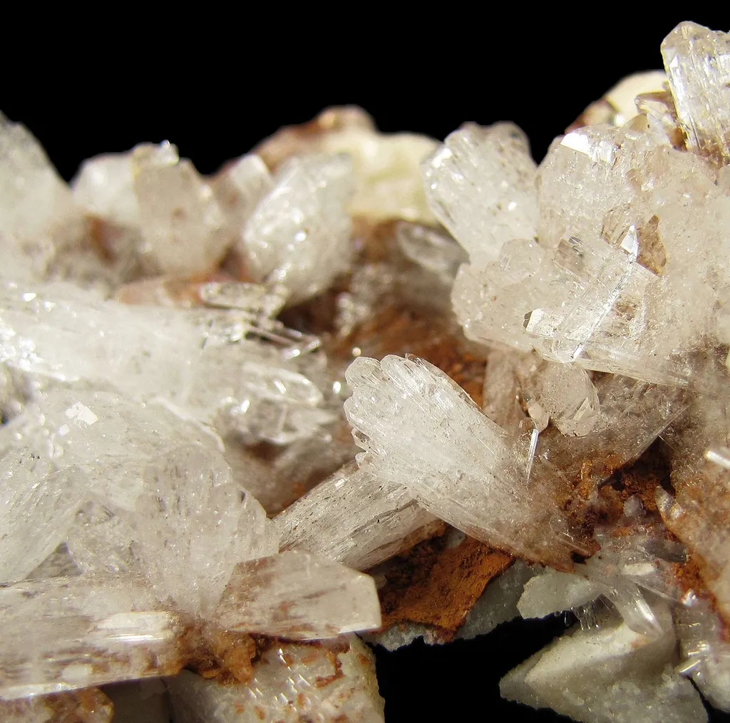 Creedite - image 4