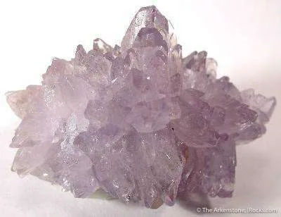 Creedite - image 4