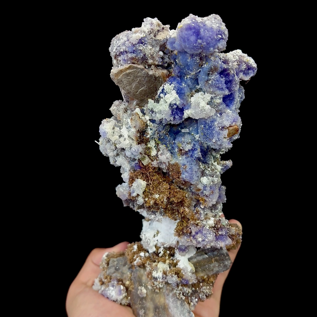 Creedite - image 7